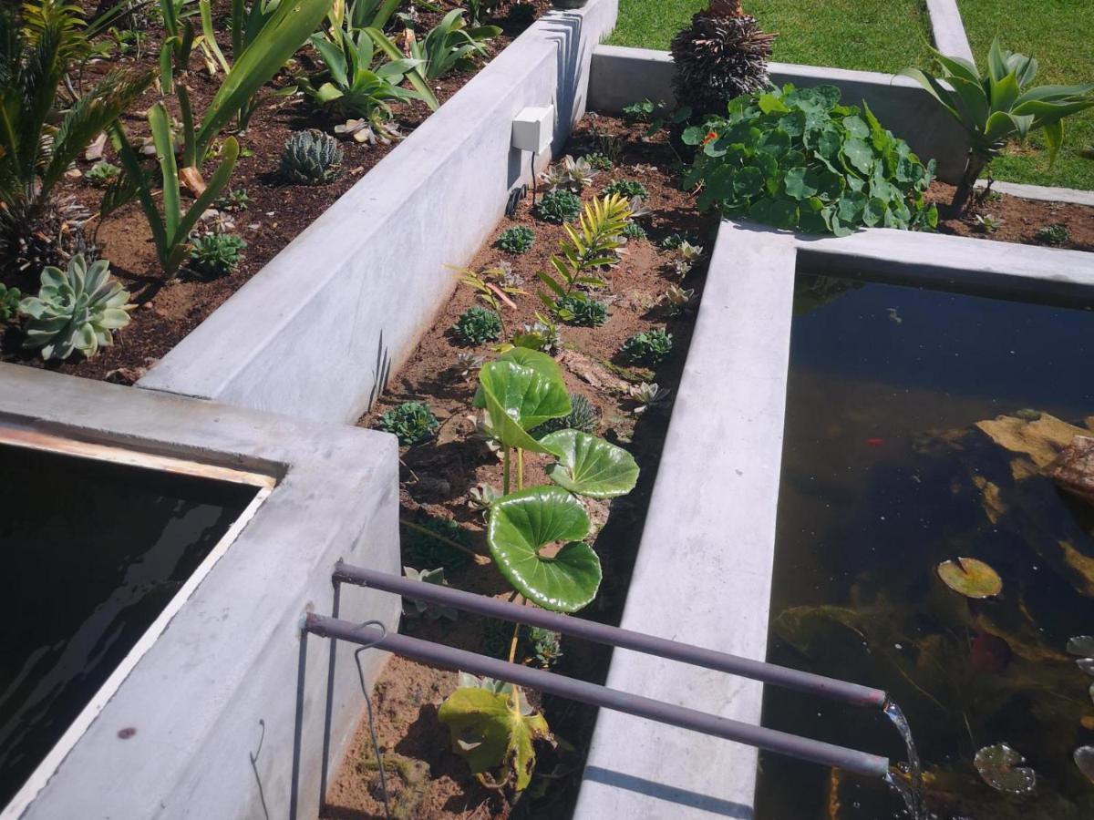דירות יזרפונטיין Orca House מראה חיצוני תמונה